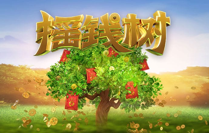 168精准计划网